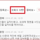 코리아 태비 태권도 이미지