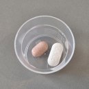 다원동물병원 | 잠안올때 수면루틴 만들기 수면패턴 수면위생 멜라토닌 효과