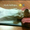 나두 이미지