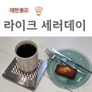 라이크세러데이