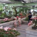 강원도립화목원 이미지