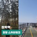스카이택시협동조합 | 충남 서천 당일치기 장항 스카이워크 전망대 입장료 송림 자연휴양림