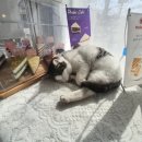 커피먹고가세 이미지