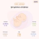 머리염색 고은빛 | [임신 16주] 송파고은빛 2차 기형아 검사 및 초음파 결과 (ft. 아들 초음파)