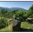 지리산아침 이미지