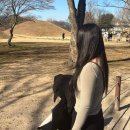 평촌수약국 | 팔뚝살 고민 해결! 안양평촌 팔뚝 지방추출주사 일주일 후기 (부작용, 가격, 멍, 일상생활, 후관리...