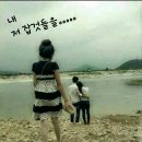 매직라인 이미지