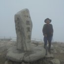 백화화원 이미지