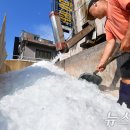 죽도얼음