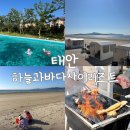 하늘과바다식당 | 태안 신두리 펜션 가성비 하늘과바다사이리조트 3단지 1차 수영장 갯벌