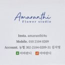 아마란디 이미지