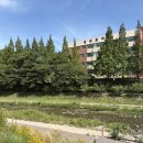 대청공원 놀이터 이미지