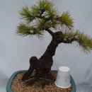 해송2로 이미지