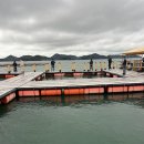 무기수산좌대낚시터 이미지