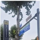 금터공인중개사사무소 이미지