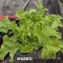 경재농장 이미지