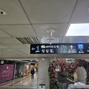 성심당 케익부띠끄 딸기설기 내돈내산 구입 솔직후기입니다(주차, 대중교통, 구입방법, 크기, 맛...