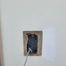 선경비디오 이미지