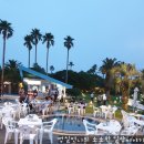 샤인빌A | 제주 대명 샤인빌리조트 오션뷰와 선셋가든 비비큐 솔직후기~~