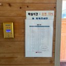 갑을전기 | [함양] 대봉캠핑랜드 숲속의집불로초둥지1호 & E14 사이트 예약 후기 (2026.3.28~2026.3.29)