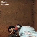 돼지박사