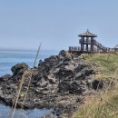 남생이못 이미지