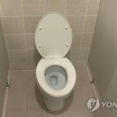 학교 화장실서 소변보는 친구 훔쳐본 중학생…&#39;학폭&#39; 처분 이미지