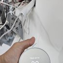 아암대로 1503번길 이미지