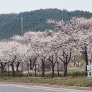 잠시멈추다 이미지