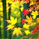 남은농장 이미지