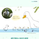 코코랜드