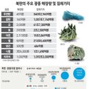 개성산업개발 네이버블로그