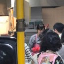 진성쟁반짜장 | 11월 1주_저는 인간 실격입니다