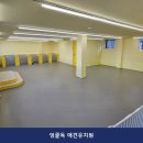 엉클독 애견유치원 네이버블로그