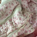 솔터세탁 이미지