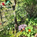 헤이리힐스109 이미지