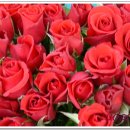 바다그린 이미지