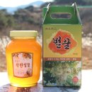 GINSENG HONEY 튜브꿀. 스틱벌꿀 판매합니다. 이미지