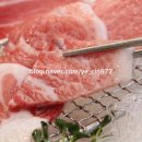 본참치 - 김제시 남북로 215 | 본참치