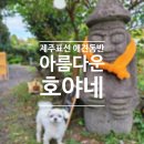 아름다운호야네 이미지