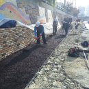 회원동029 이미지