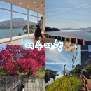 상징 조형물(자전거 | 여수 1박2일 여행 1일차: 무지개 해안도로부터 오동도 겹벚꽃까지(포토존 위주)🌸