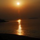 바람난강아지 이미지