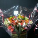 농협하나로마트 용호점 이미지