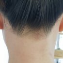 달콤네일/스킨스토리 이미지