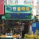 그린플라워
