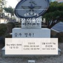 호롤롤로와 함께 떠나는 국군대천콘도 방문후기