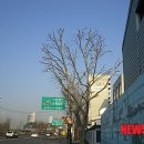 용산-396 이미지