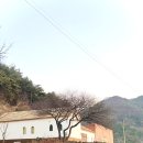 [공주 풀빌라 후기] 대전 근교 감성숙소 &#39;베시두즈&#39; B동 내돈내산 후기