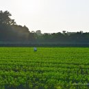 하도 가을이네 민박 이미지